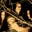 type o negative portrait bushes joseph cultice 1600x900, Joseph Cultice